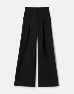 Responsible Wool Double Face Warren Pleated Wide Leg Pant